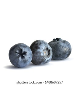 Blueberry low poly. Fresh, nutritious and tasty blueberry. Symbols of berries. Elements for label design. Blueberry in triangulation technique.