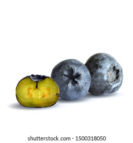 Blueberry low poly. Fresh, nutritious and tasty blueberry. Symbols of berries. Elements for label design. Blueberry in triangulation technique.