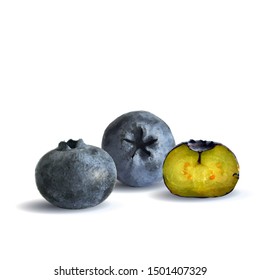 Blueberry low poly. Fresh, nutritious and tasty blueberry. Symbols of berries. Elements for label design. Blueberry in triangulation technique.