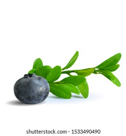 Blueberry low poly. Fresh, nutritious and tasty blueberry. Symbols of berries. Elements for label design. Blueberry in triangulation technique.