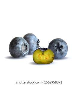 Blueberry low poly. Fresh, nutritious and tasty blueberry. Symbols of berries. Elements for label design. Blueberry in triangulation technique.