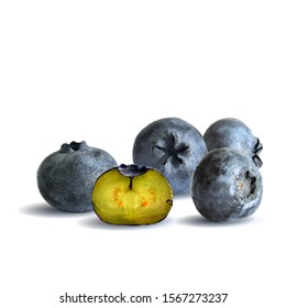 Blueberry low poly. Fresh, nutritious and tasty blueberry. Symbols of berries. Elements for label design. Blueberry in triangulation technique.