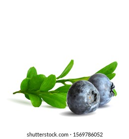 Blueberry low poly. Fresh, nutritious and tasty blueberry. Symbols of berries. Elements for label design. Blueberry in triangulation technique.