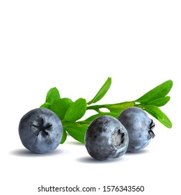 Blueberry low poly. Fresh, nutritious and tasty blueberry. Symbols of berries. Elements for label design. Blueberry in triangulation technique.