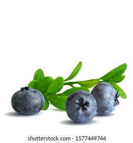 Blueberry low poly. Fresh, nutritious and tasty blueberry. Symbols of berries. Elements for label design. Blueberry in triangulation technique.