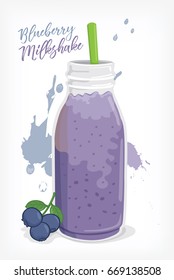 blueberry milkshake vector
