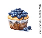 blueberry muffin cake vector illustration in watercolour style