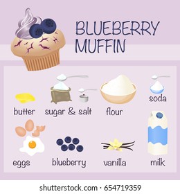blueberry muffin recipe. bake ingredients. vector illustration.