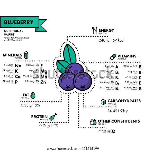 Blueberry Nutritional Information Healthy Diet Simple Stock Vector