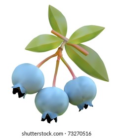 Blueberry on branches of a bush vector