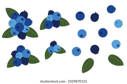 blueberry on white background.Eps 10 vector.