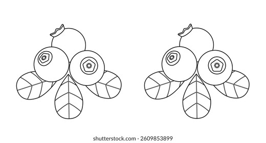 Blueberry outline drawing. Editable and expanded stroke, linear image with two variations. Vector illustration, linear icon. 