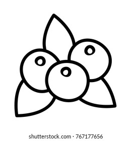 Blueberry outline icon