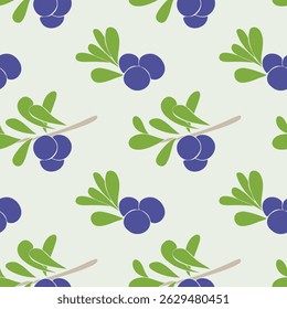 Blaubeermuster mit Ästen, Blättern und blauen Beeren auf hellgrünem Hintergrund