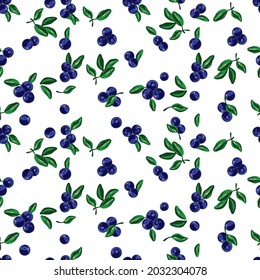 Blueberry pattern white background. Vector.