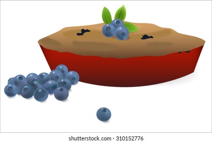 Blueberry pie with blueberries on white background vector