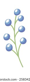 Blueberry plant twig decoration pattern