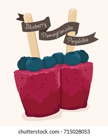 Blueberry Pomegranate Popsicles vector