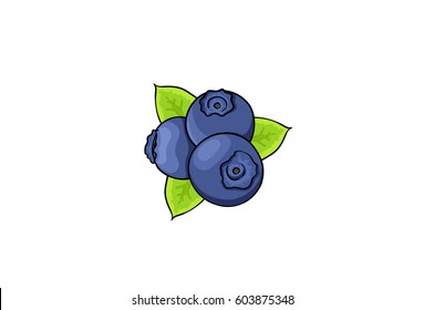 Blueberry, pop art, cartoon hand drawn illustration isolated on white background