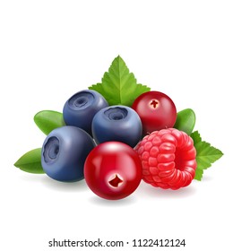 Blueberry, raspberry and cranberry Sweet forest berry. 3d vector Realistic illustration