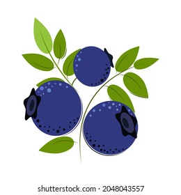 Blueberry. Ripe juicy berries with green leaves. Berries for jam and dessert. Flat style Vector Illustration.