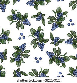 Blueberry. Seamless botanical pattern, Realistic full color vector sketch illustration.