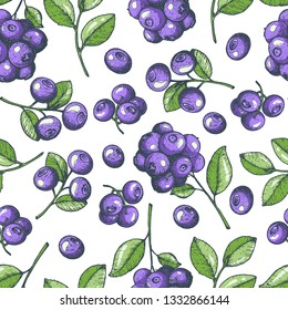 Blueberry seamless pattern. Hand drawn illustration. Blueberry design background. Fresh juicy.