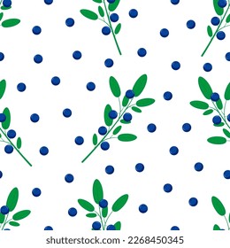 Blueberry seamless pattern on white background