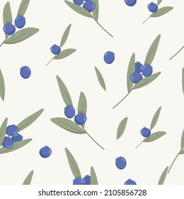 Blueberry seamless pattern; blueberry twigs for fabric, wallpaper, wrapping paper, textile, packaging, web design. Tender vector hand drawn background in flat style.