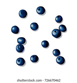 Blueberry Set. The berry scattered on the surface. Blueberries in different angles. Pattern on white background. Vector illustration EPS 10
