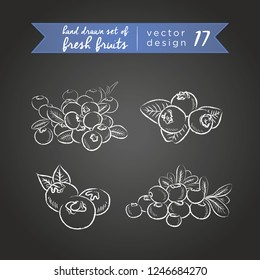 Blueberry. Set of fresh fruits, whole, half and bitten with leaf. Vector illustration. Isolated on blackboard