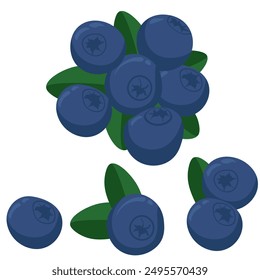 Blueberry set of healthy berries, single and pair of fruits vector illustration for design