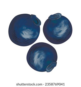 Blueberry set. Natural fresh ripe tasty blueberries. Vector illustration for background, packaging, textile, card and various other designs.  Template  icons. Food concept.