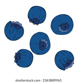 Blueberry set. Natural fresh ripe tasty blueberries. Vector illustration for background, packaging, textile, card and various other designs.  Template  icons. Food concept.