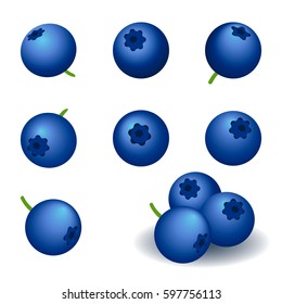 blueberry, set of vector icons. berries isolated on white background.