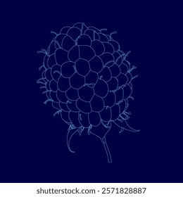 Blueberry is shown in a stylized way. The blueberry is the main focus of the image, and it is surrounded by a blue background. The blueberry is depicted as a small, round fruit with a stem