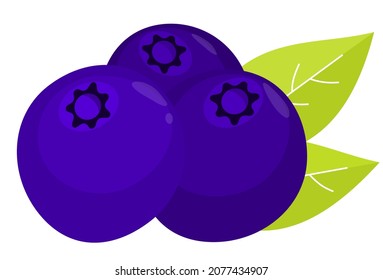 blueberry simple flat cartoon icon with leaf. suitable for company symbol or fruit sign