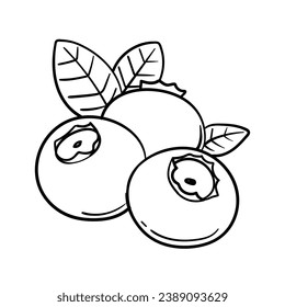 Blueberry sketch. hand drawn Blueberry outline illustration. Blueberry black and white vector drawing. Blueberry isolated on white background. vector illustration. Blueberries line art drawing.