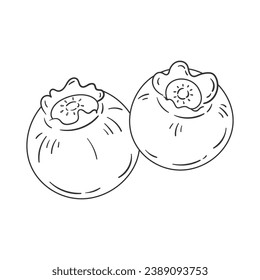 Blueberry sketch. hand drawn Blueberry outline illustration. Blueberry black and white vector drawing. Blueberry isolated on white background. vector illustration. Blueberries line art drawing.