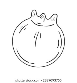 Blueberry sketch. hand drawn Blueberry outline illustration. Blueberry black and white vector drawing. Blueberry isolated on white background. vector illustration. Blueberries line art drawing.