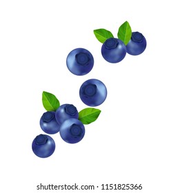 Blueberry and splash Vector illustration. fruit and fresh milk.