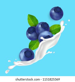 Blueberry and splash Vector illustration. fruit and fresh milk.