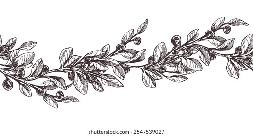 Fragmentos de mirtilo com frutos e folhas. Ilustração gráfica, desenhada à mão com tinta marrom, arte em linha monocromática. Borda perfeita, padrão, simples sobre o tema de floresta, colheita, natureza.
