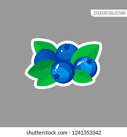 blueberry sticker isolated on white background. Bright vector illustration of colorful half and whole of juicy bilberry. Fresh cartoon