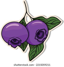 Blueberry sticker on white background