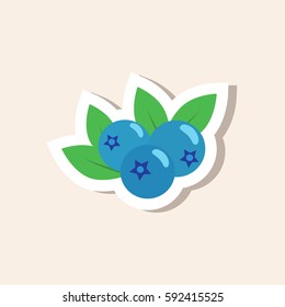 Blueberry sticker  vector illustration. Flat design.