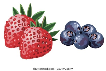 Blueberry and strawberry fruit illustration