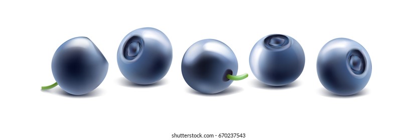 Blueberry. Sweet fruit. Forest berry. 3d vector icons set. Realistic illustration