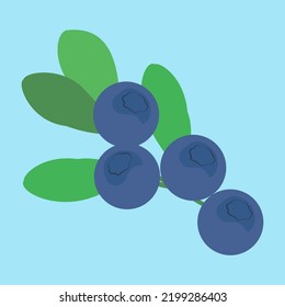 Blueberry twig with leaves, illustration, vector