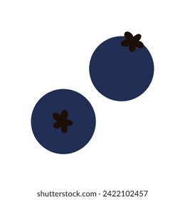 Blueberry, dos ilustraciones vectoriales de frutos de bayas azules caídos